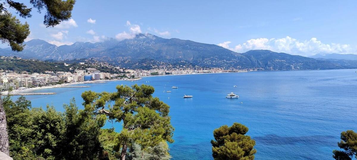 Le Coq Riviera - Splendide Vue !